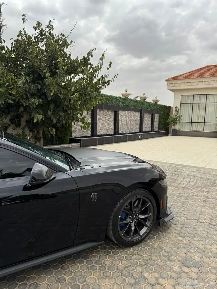 موستنج دارك هورس 2024 9