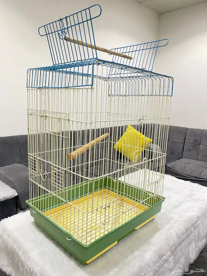 قفصين طيور القنفذه 2