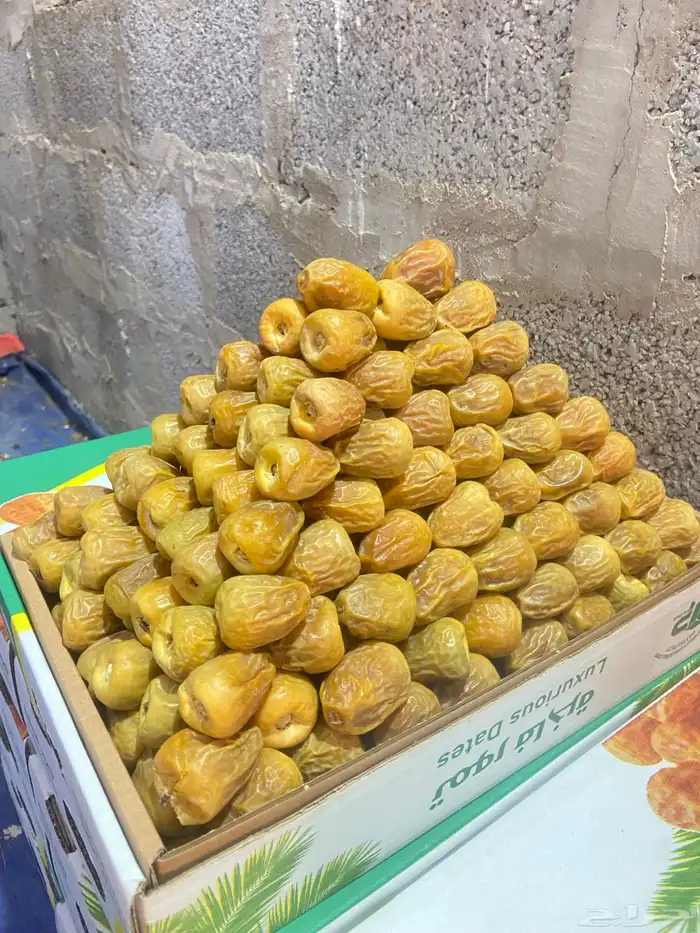 سكري ملكي للبيع 0