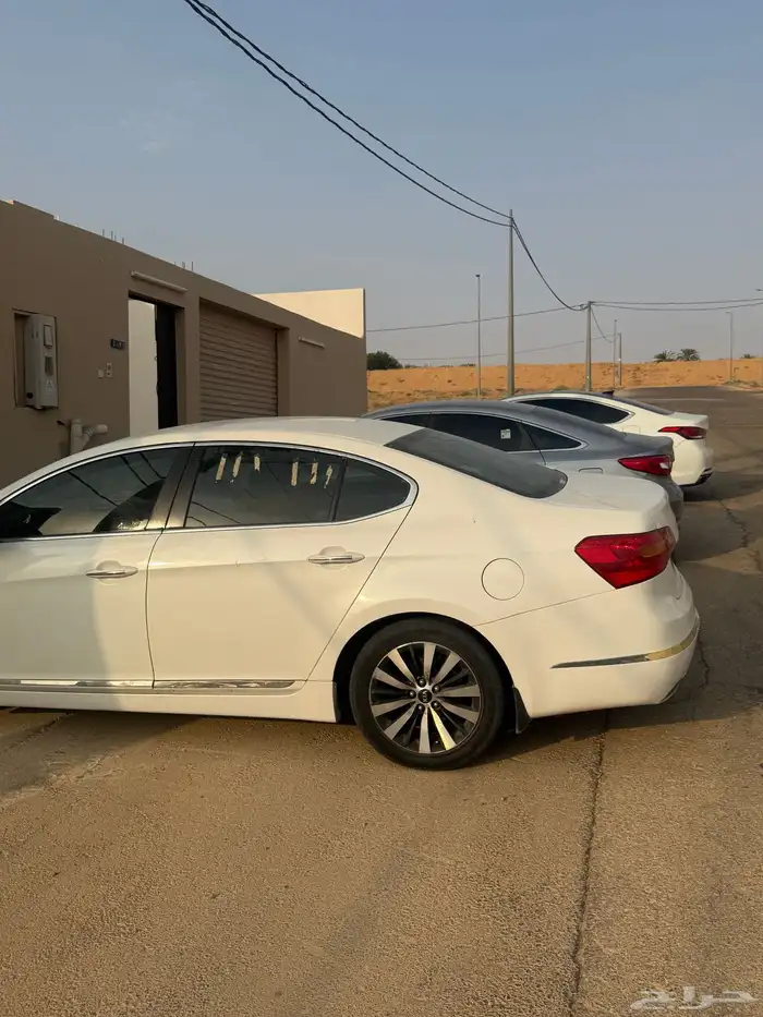 كادينزا 6