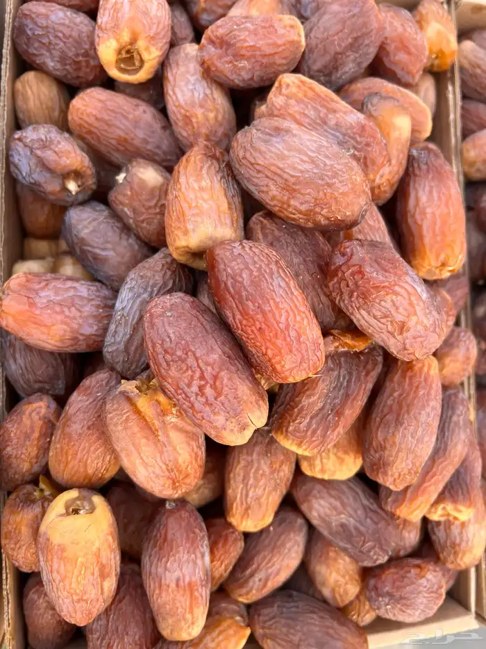 تمور القصيم فاخره 6