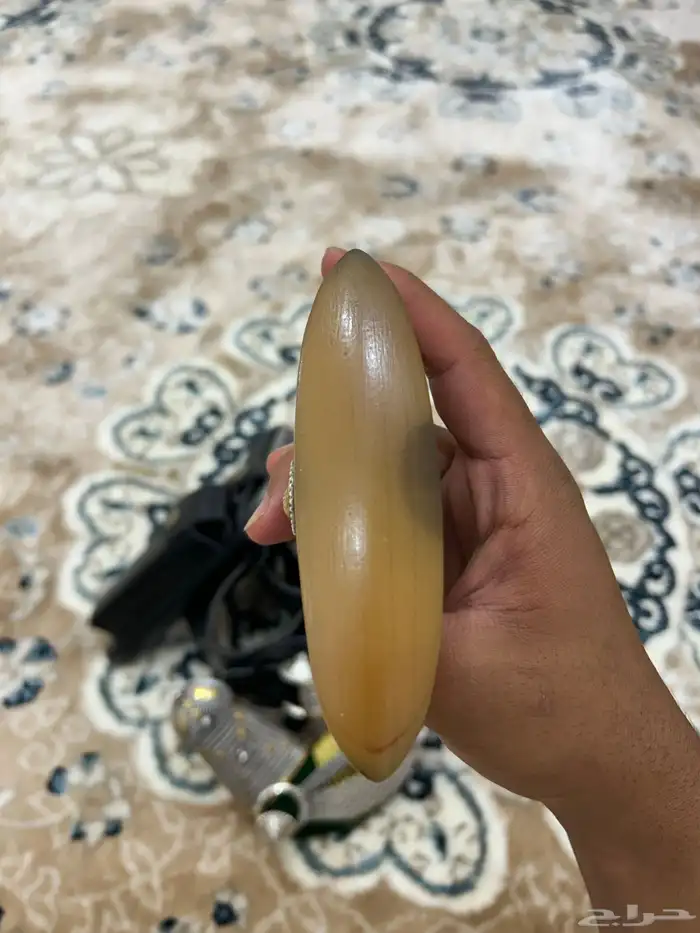 جنبيه حك زراف شبيه زراف 3