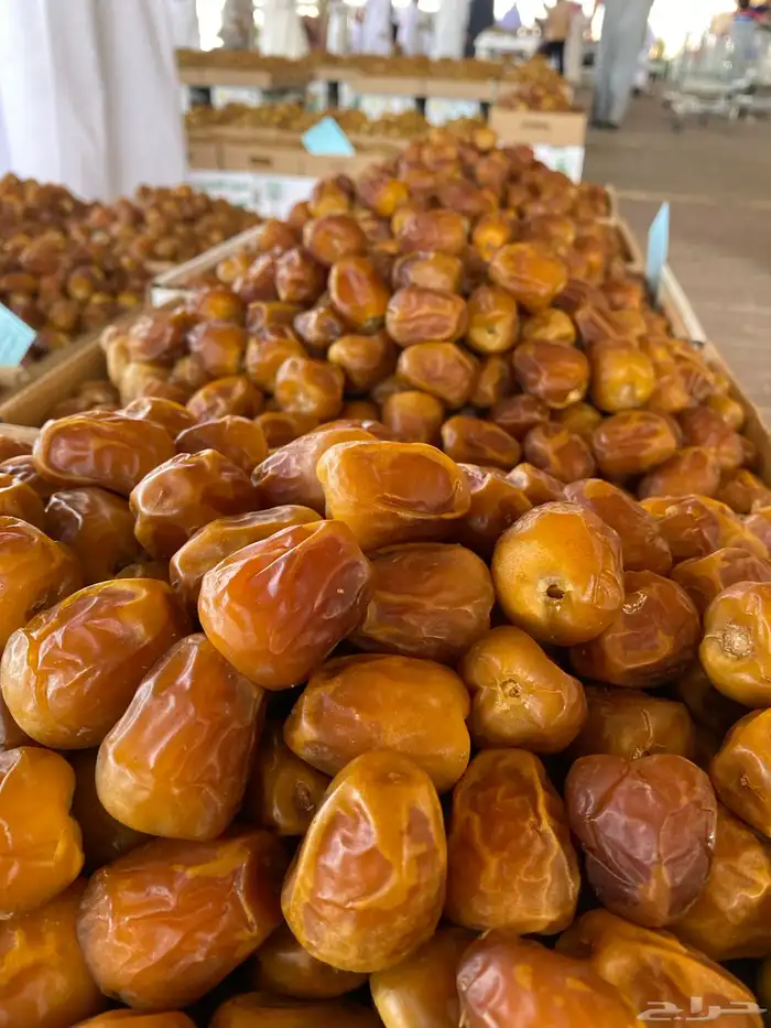 تمور فاخرة من مزارعنا 1