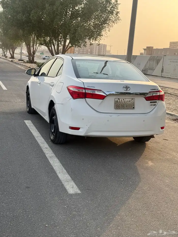 كورلاء مديل 2015 3