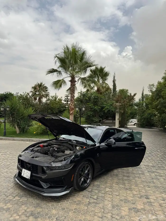 موستنج دارك هورس 2024 2