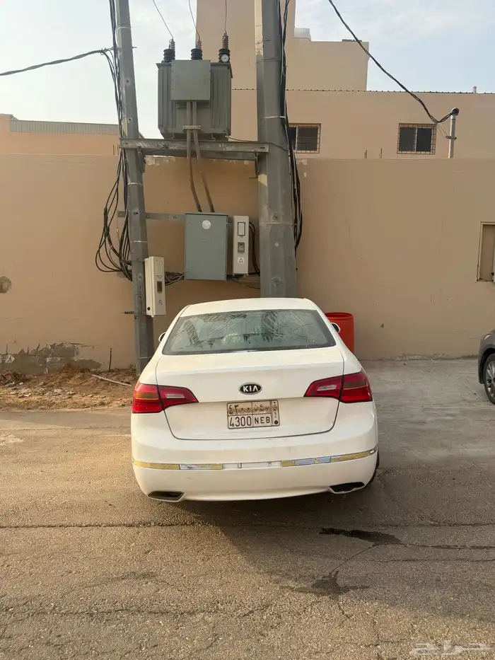 كادينزا 5