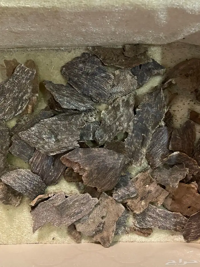 عود جار هندي طبيعي سوبر واعلى 2