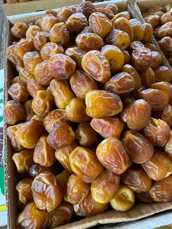 تمور فاخرة من مزارعنا 2