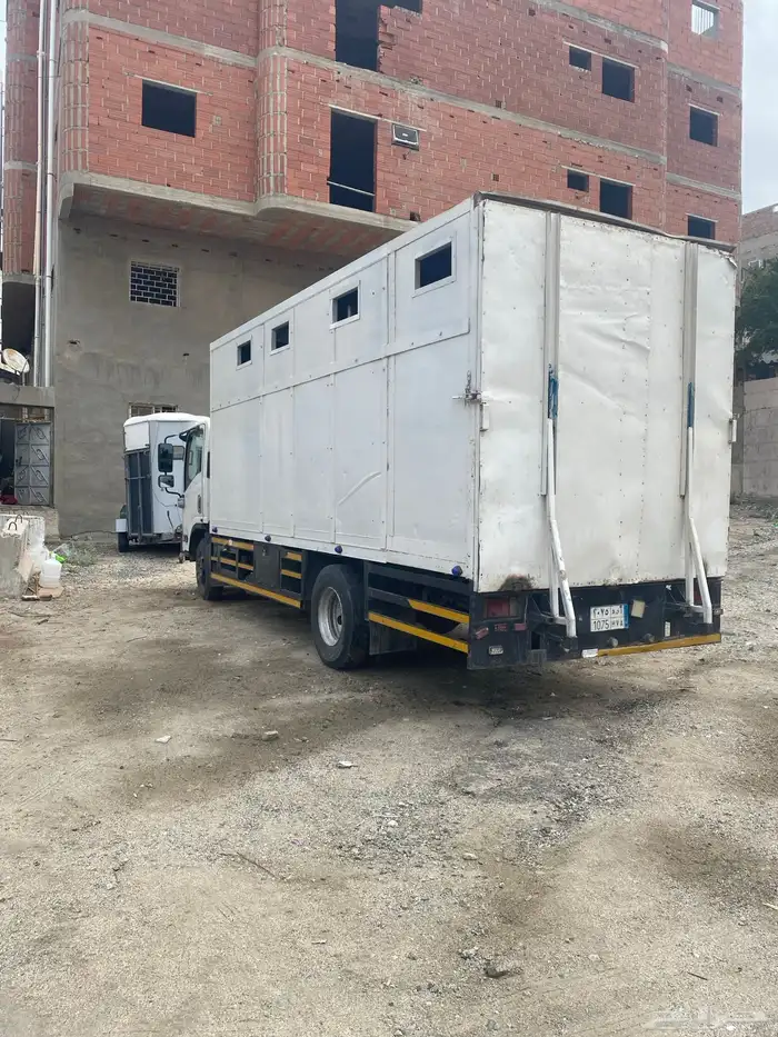 دينه نقل خيل من مكه الى جده إلى أنحاء المملكة 0