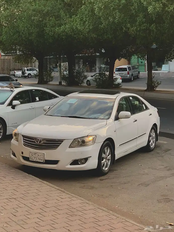 اوريون2008 بودي بلد 1