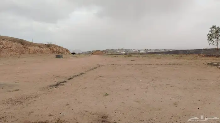 استراحه بقرب كبري الملك عبدالله. 8