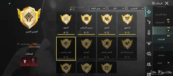 حساب ببجي للبيع 10