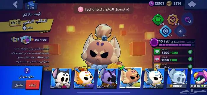 20 كاس بروستار فيه اسكنات غاليه و فيه موارد كويسه ب 29