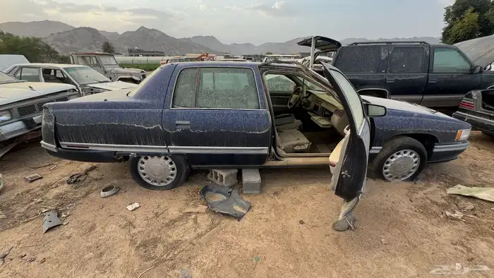 كدلك بيوك 2