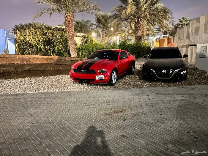 موستنج 2012 قير عادي 6
