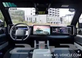 مطلوب دينزا بي 5 (ليوبارد 5 ) BYD 1