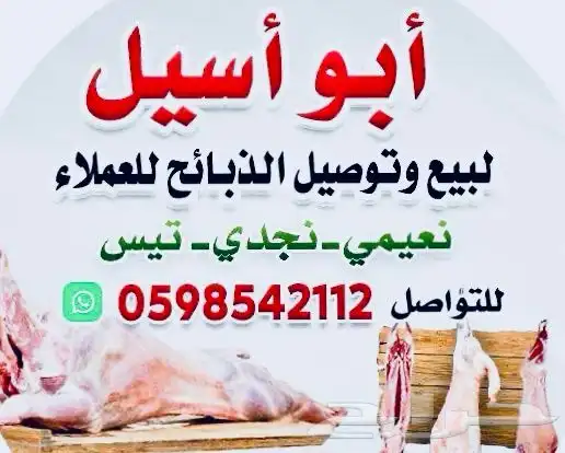 ذبايح للبيع 1