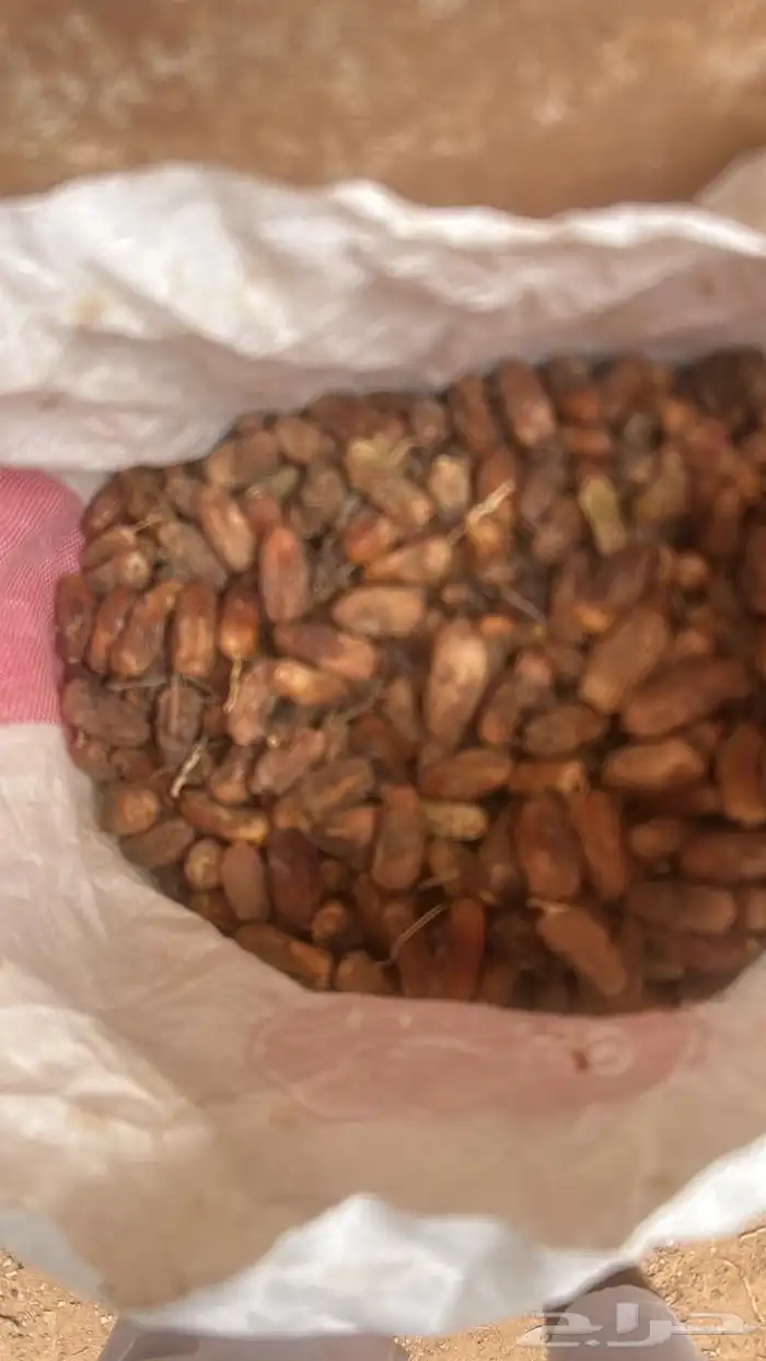 للبيع علاف تمر 1