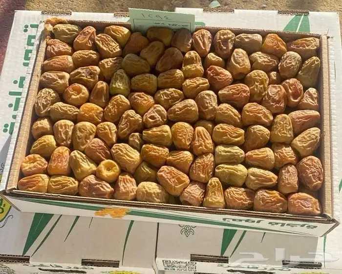 للبيع تمور سكري من المزرعه 1