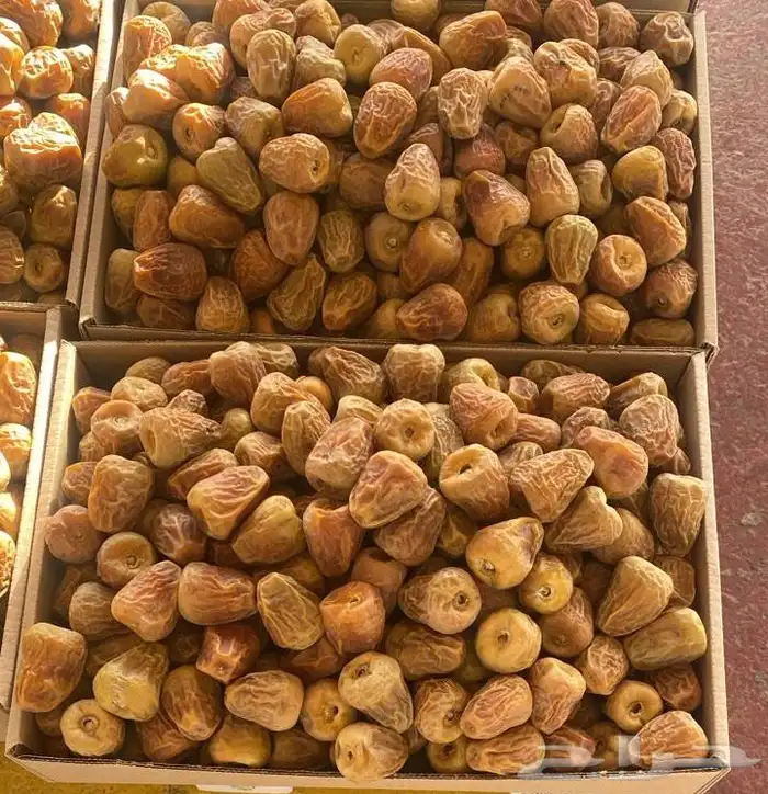 للبيع تمور سكري من المزرعه 0