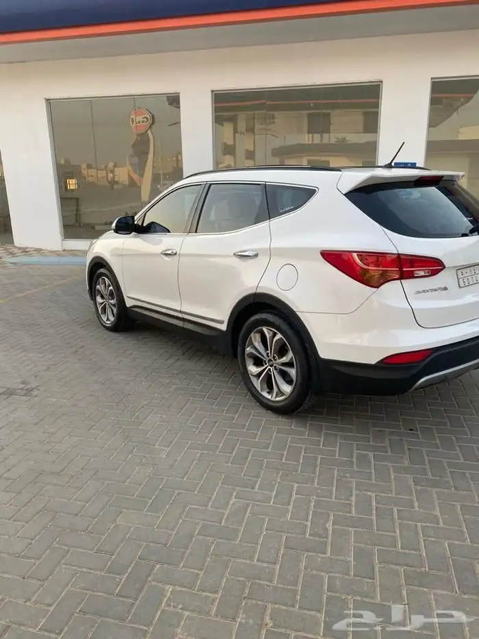 سنتافي 2015 5