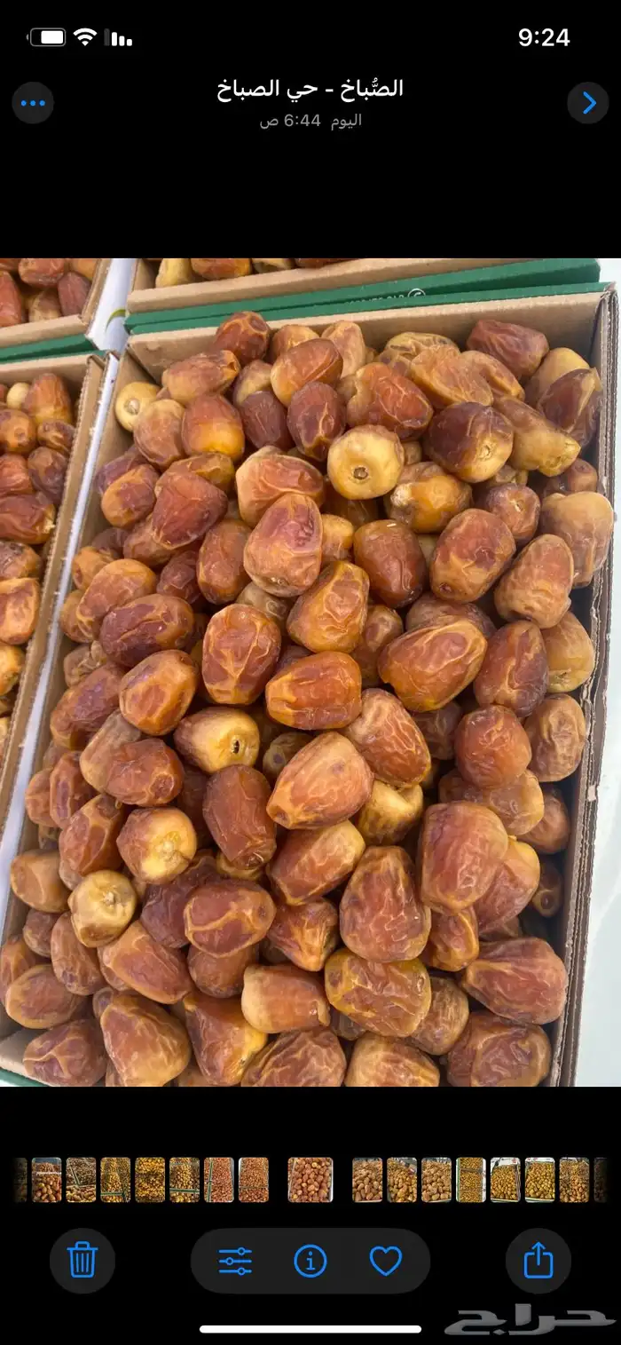 تمور القصيم. فاخر 9