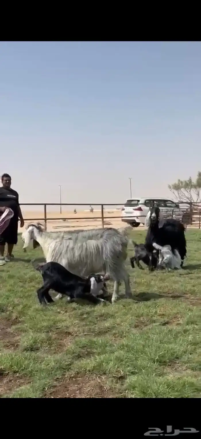 متاويم فاااخره 2