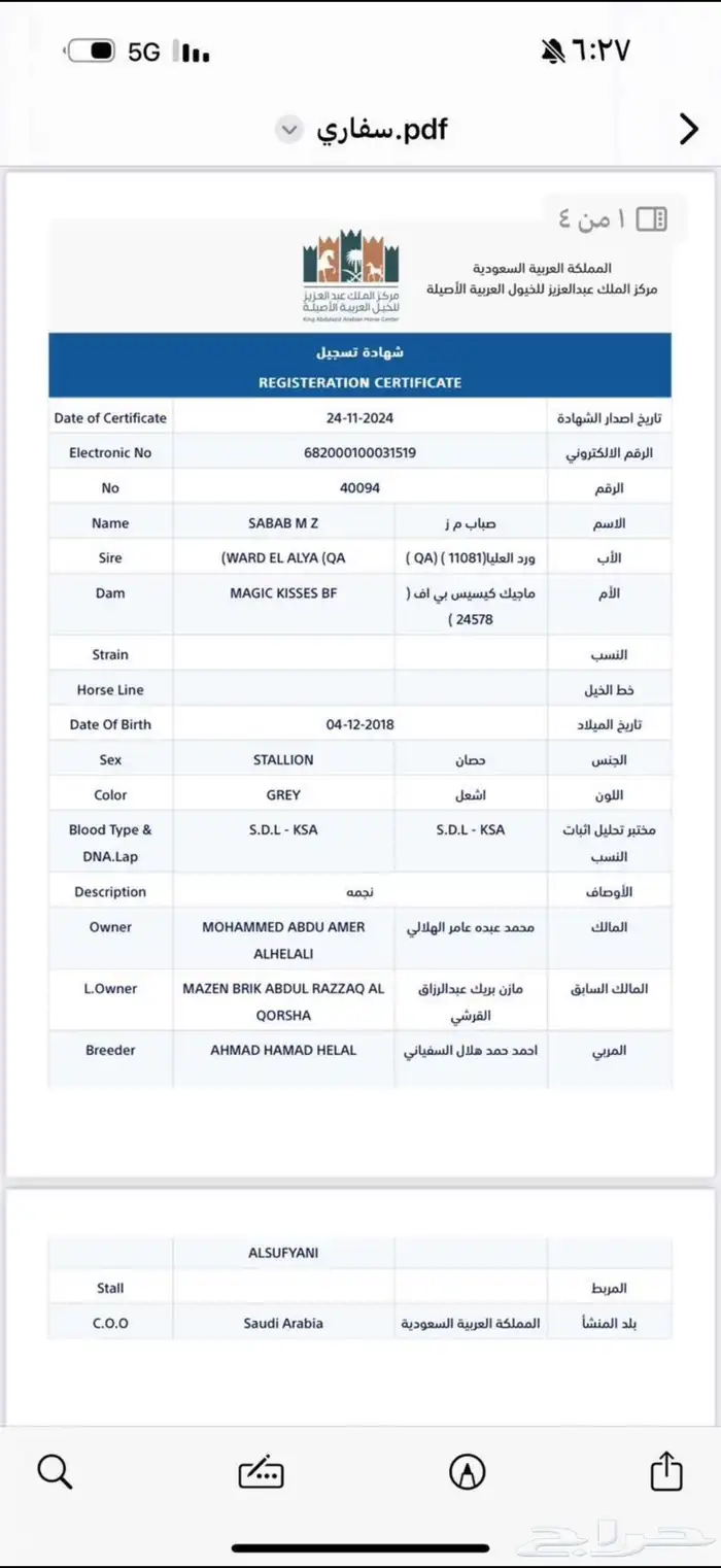 خيل عربي أصيل 2