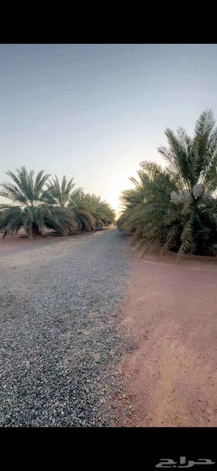 للبيع استراحه بالهرير بصك زراعي مستقل 1