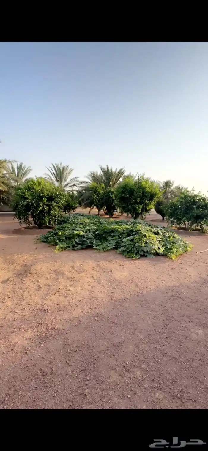 للبيع استراحه بالهرير بصك زراعي مستقل 6