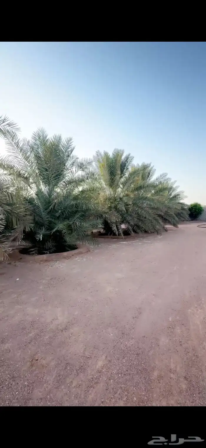 للبيع استراحه بالهرير بصك زراعي مستقل 2