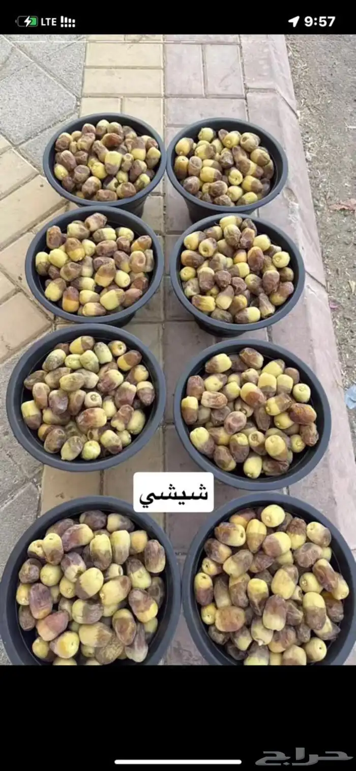 تمور و  تين حوطه بني تميم توصيل طلبات للرياض 50 سطل وطالع 1