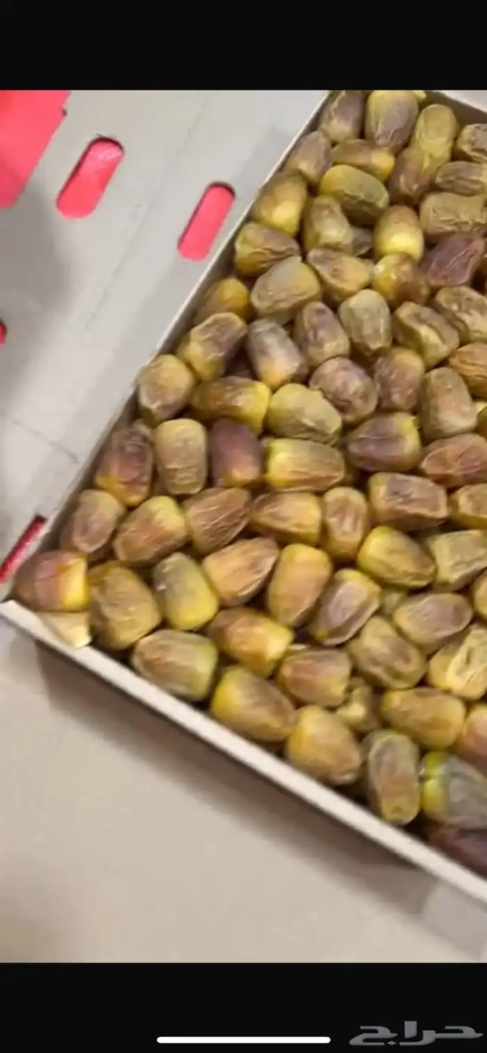 تمر سكري فاخر 1