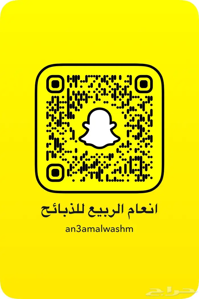 ذبايح شقراء مرات 3