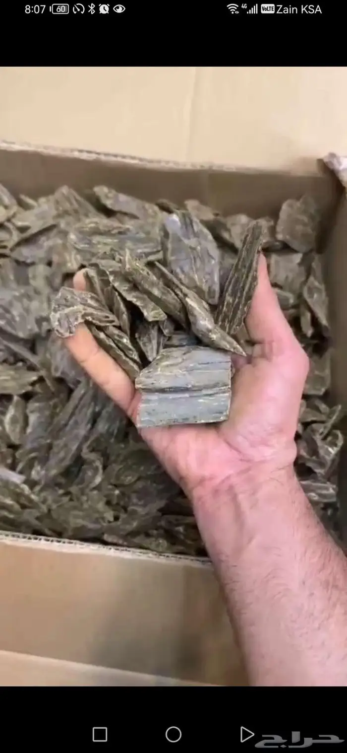 العود الأزرق الاندونيسي الكلمنتان 2