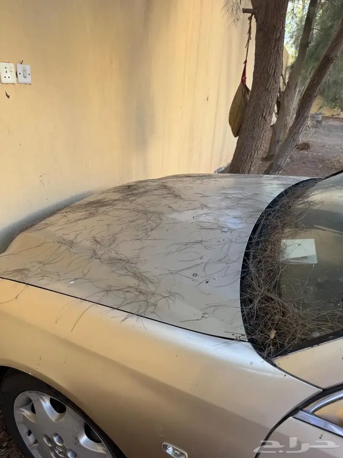 لكزس 430 ال اس سعودي 3
