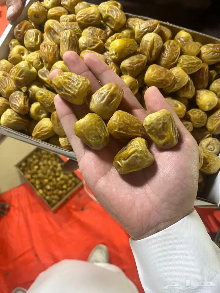 تمر سكري القصيم مفتل درجه اولى 0