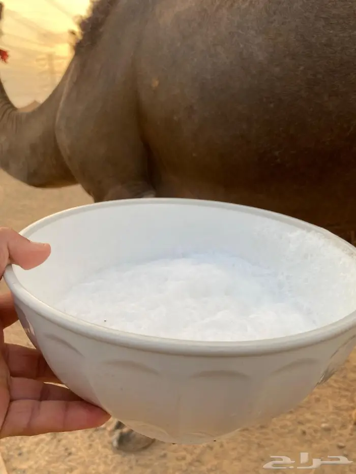 خلفه للبيع 4