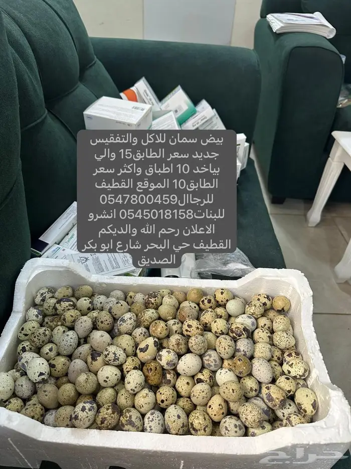 بيض سمان 0