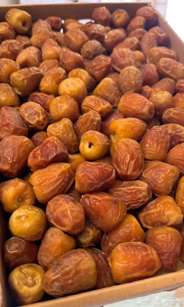 تمور القصيم لعام 2025 1