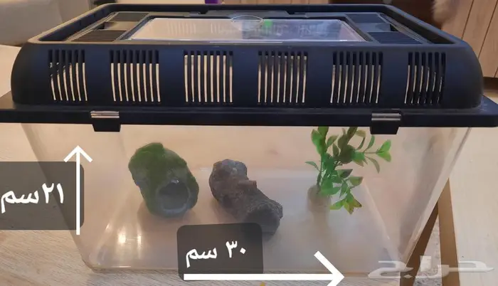 حوض سمك او هامستر او سلاحف بلاستيك 1