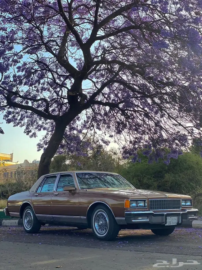 كابريس 1986 كلاسيك للبيع 5