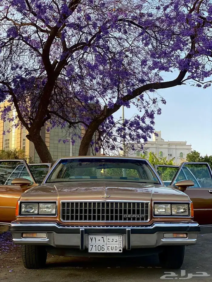 كابريس 1986 كلاسيك للبيع 12