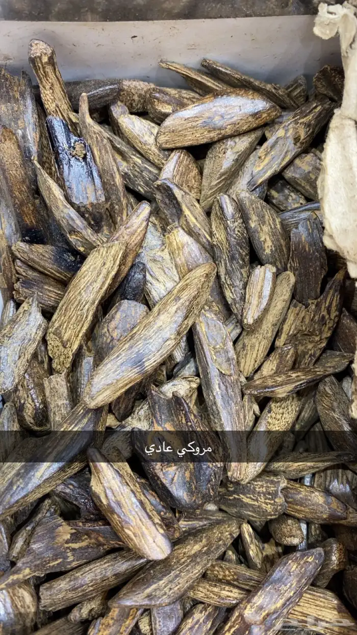 عطور وبخور 40