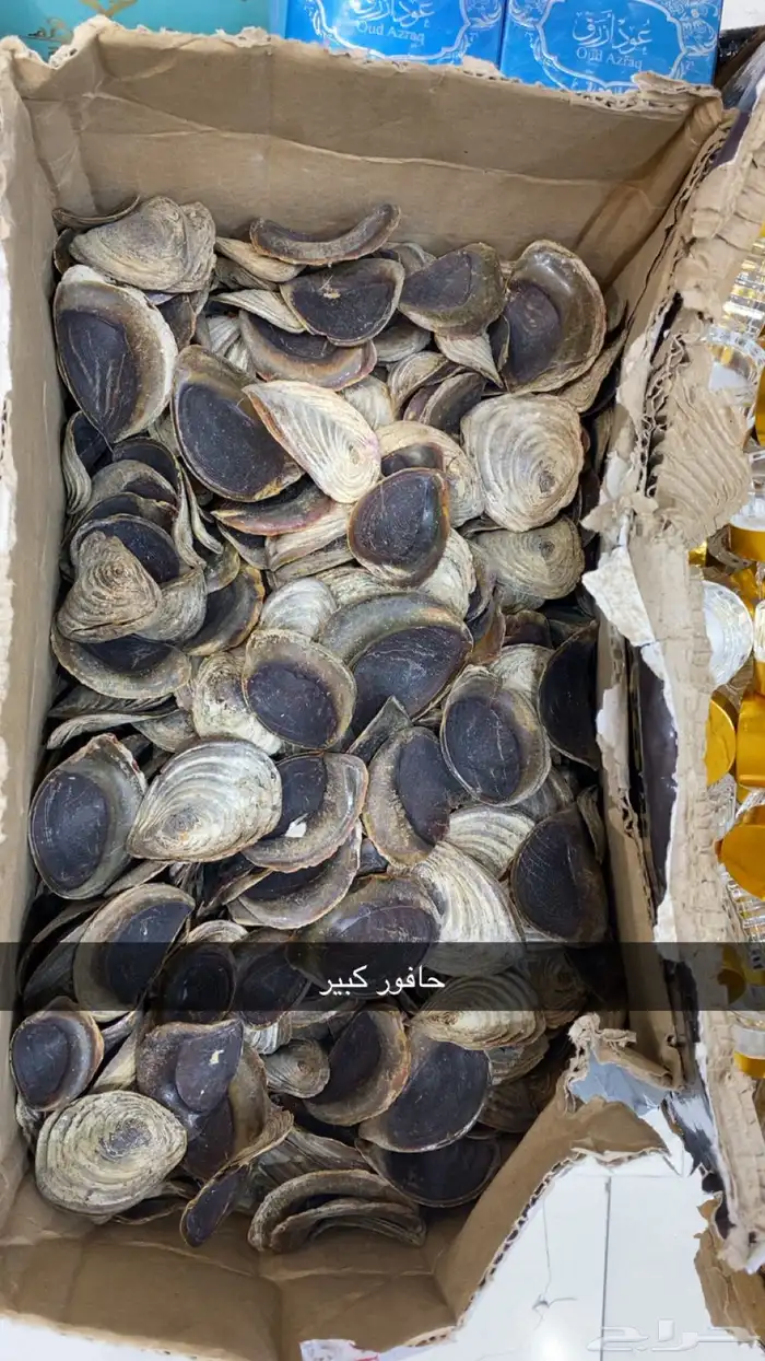 عطور وبخور 32