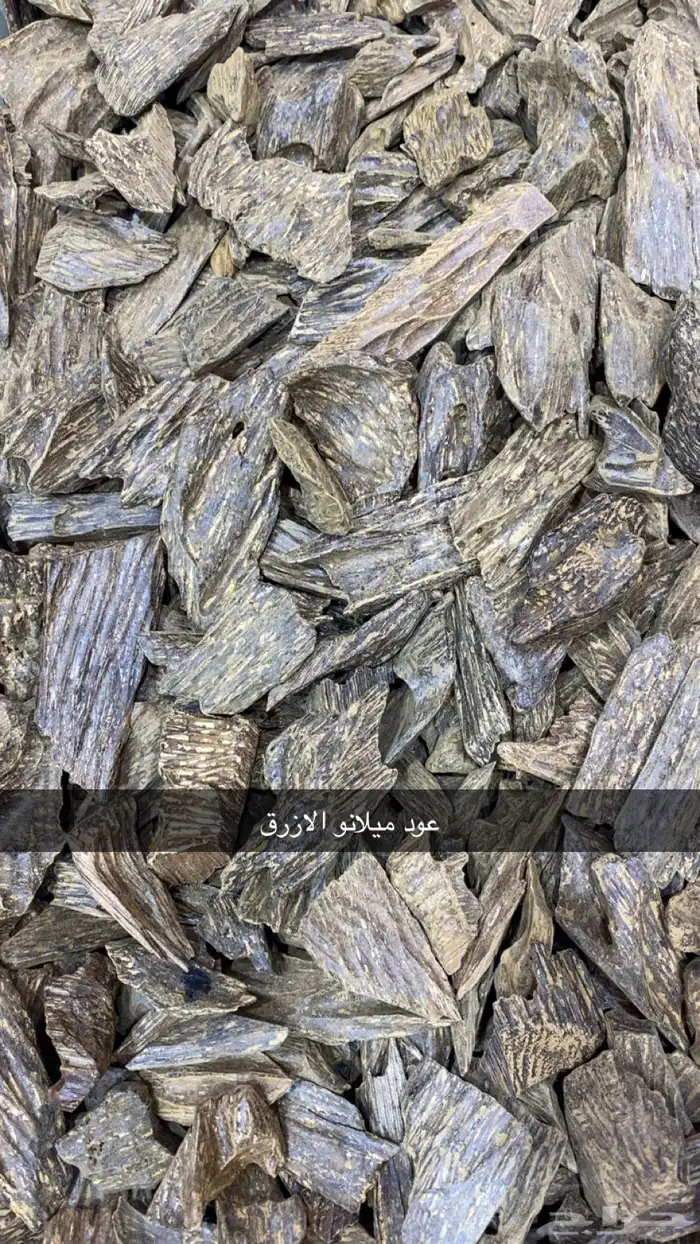 عطور وبخور 37