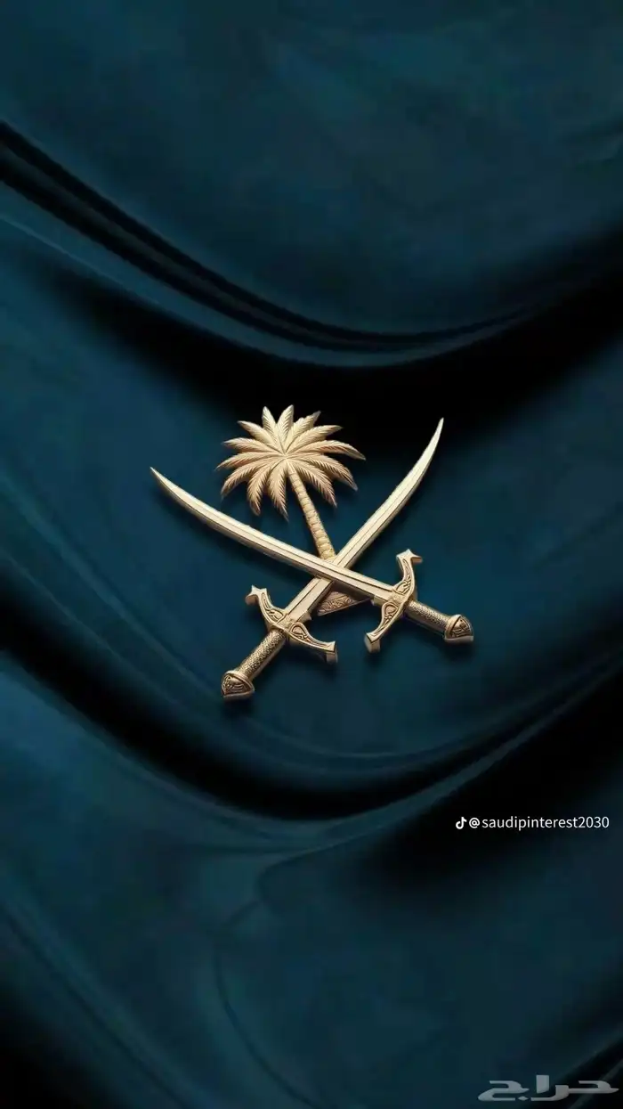 مطلوب ارض سكنية في نمار 3020 مساحتها فوق 500 0