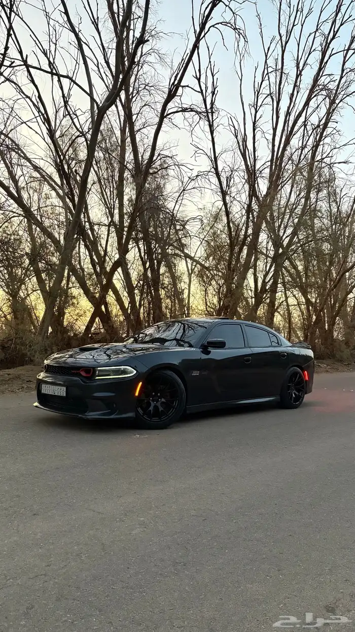 دوج تشارجر 2019GT 2