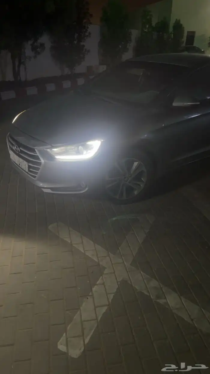 النترا 2017الممشى 270 4