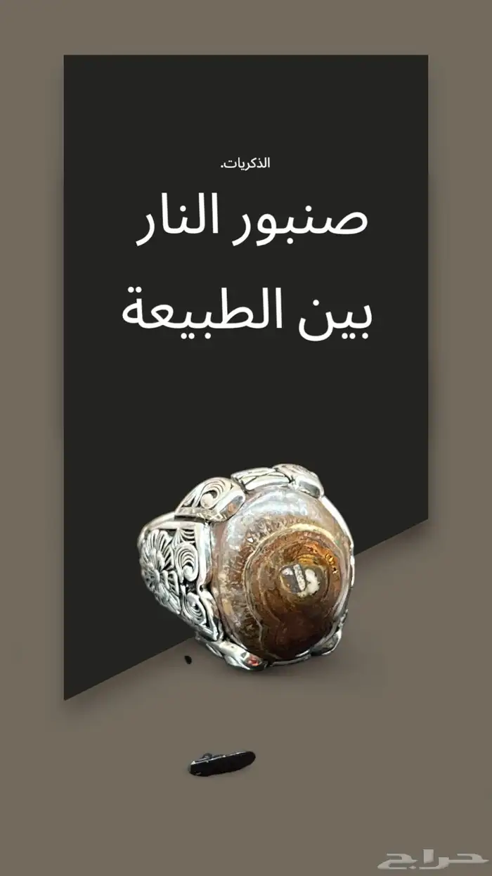 خواتم رجاليه 6